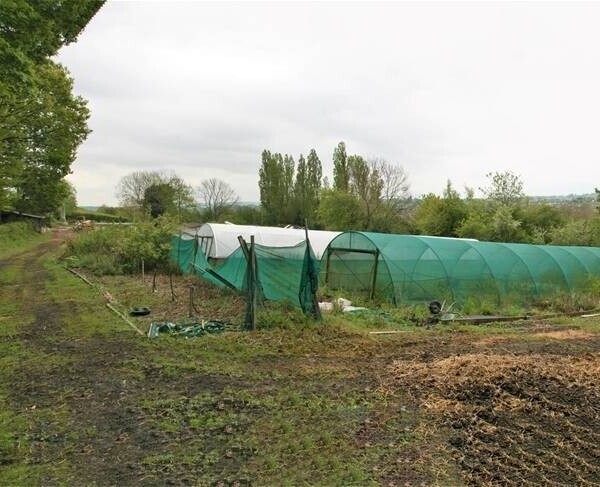 Garden Centre & Horticulture For Sale in Liversedge Photo 8