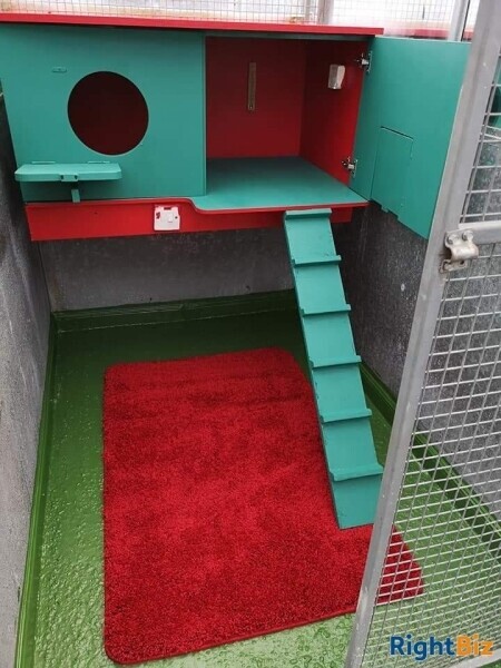 Cattery (Largest on Anglesey), stables, 4 Bed home, Static caravan and paddocks. Anglesey, N Wales. Photo 8