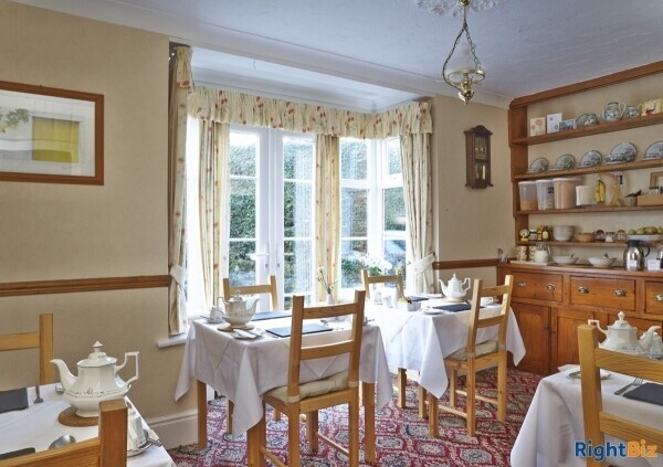 B&B in the Heart of New Forest Photo 8