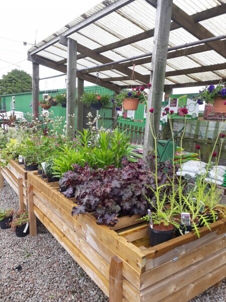 Garden Centre Business With Excellent Reputation Photo 8