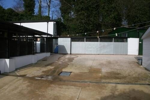 Little Jem Kennels for sale in Bury Photo 8