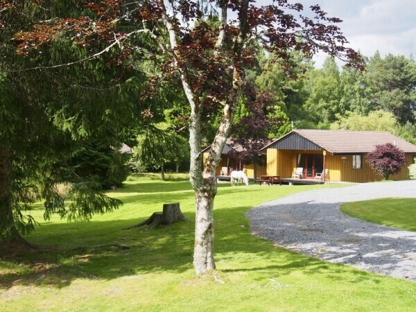 Outstanding, Highly Desirable Hotel and Chalet Complex, set in Carrbridge Photo 8