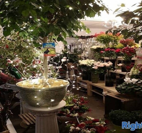 Long Standing Florist business for sale Photo 8