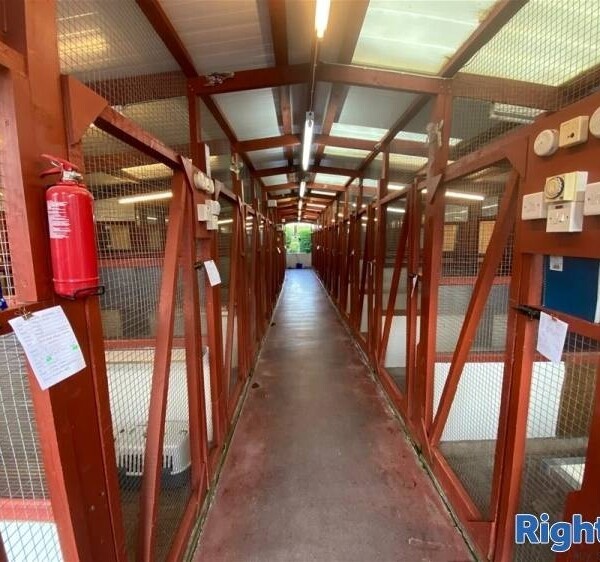 Kennels, Cattery & Equestrian businesses For Sale in Monmouthshire Photo 8
