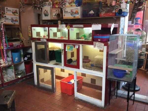 Well Run Pet Shop & Aquatic Centre Photo 8