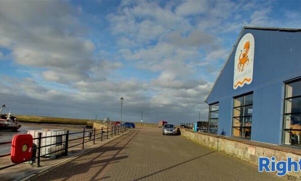 AQUARIUM AND CAFE - CUMBRIA Photo 8