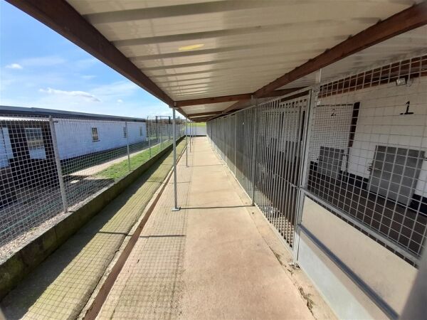 Kennels, Cattery & Equestrian businesses For Sale in Ferryhill Photo 8
