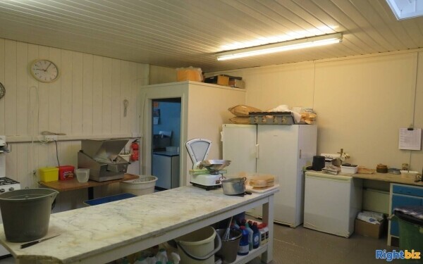 Established Fish and Chip Shop and Freehold Property Photo 8