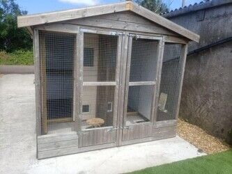 Cattery - Weston Super Mare Photo 8