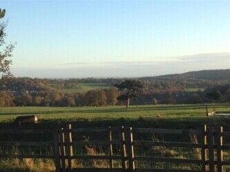 Delightful 5 Star Rated Licensed Boarding Kennels & Cattery - South Yorkshire Photo 8