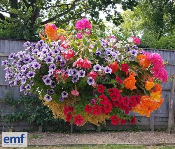 WHOLESALE PLANT NURSERY Photo 8