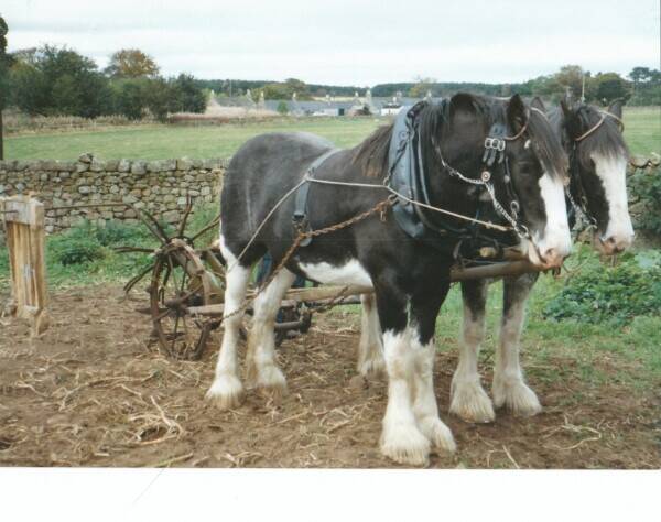 Media Company Specialising in New and Authentic Scottish Heritage Film Photo 8