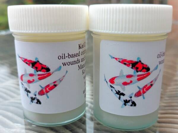 Well-Established Top Quality Hand Selected Koi Carp Business Based Near Henley-On-Thames Photo 7