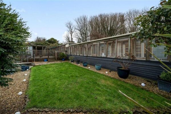 5* Cattery - Cornwall Photo 8