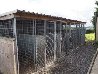 Kennels, Cattery & Equestrian businesses For Sale in Leeds Photo 8