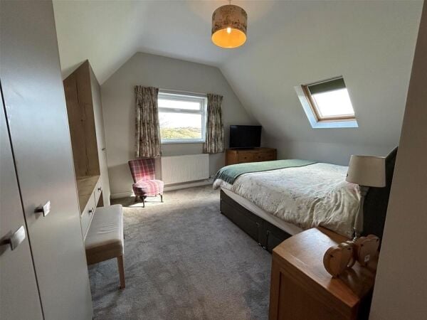 Luxury Boarding Kennels - Pembrokeshire Photo 8