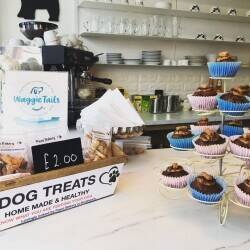 This is an excellent opportunity to purchase a well-established dog grooming business in East Sussex Photo 8