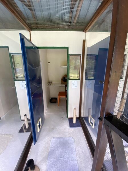 Luxury Cattery  with an impressive detached house plus 2 bed letting cottage (licensed for 44 cats) Photo 8