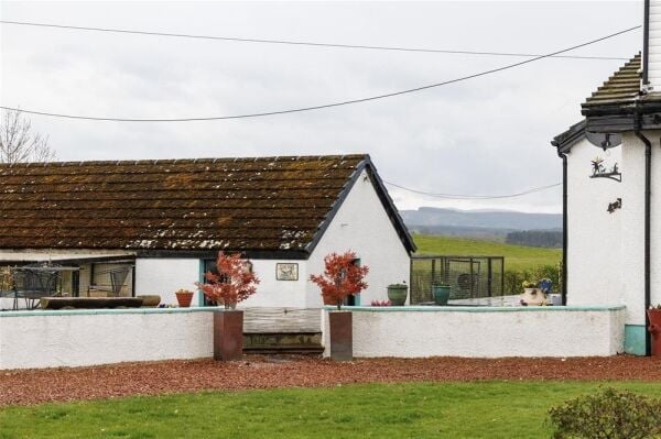 Closed Licensed Boarding Kennels - Carnwath, Lanark, Scotland Photo 8