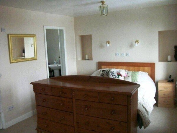 Pet Supply Store and Cattery With Accommodation Photo 8