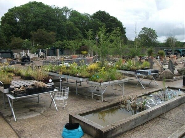 Garden Centre - Sherfield-on-Lodden Photo 9