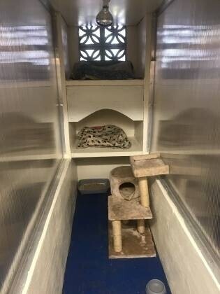 Former Kennels And Cattery for sale in Glasgow Photo 8