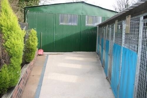 Little Jem Kennels for sale in Bury Photo 9
