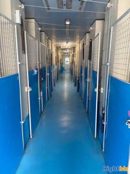 A HIGHLY REPUTABLE PROVIDER OF KENNEL AND CATTERY SERVICES Photo 9