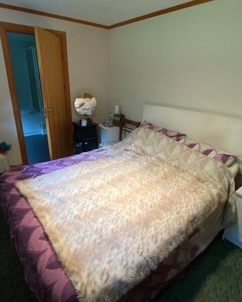 Caravan and Campsite/Development Opportunity - Hertfordshire Photo 9