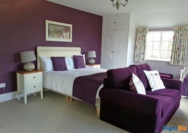 Superb Home & Income - 2 Acres New Forest Photo 9