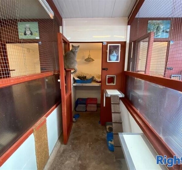 Kennels, Cattery & Equestrian businesses For Sale in Monmouthshire Photo 9
