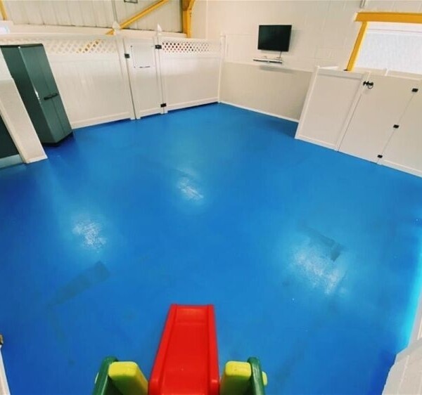 A Well Established & Equipped Dog Day-care Centre Photo 9
