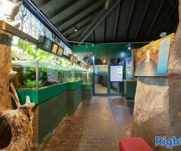 AQUARIUM AND CAFE - CUMBRIA Photo 9