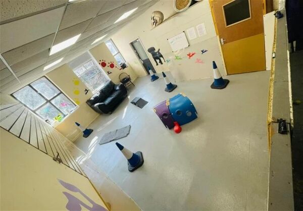 TOWN CENTRE DOGGY DAYCARE & GROOMING CENTRE based STOCKPORT Photo 9