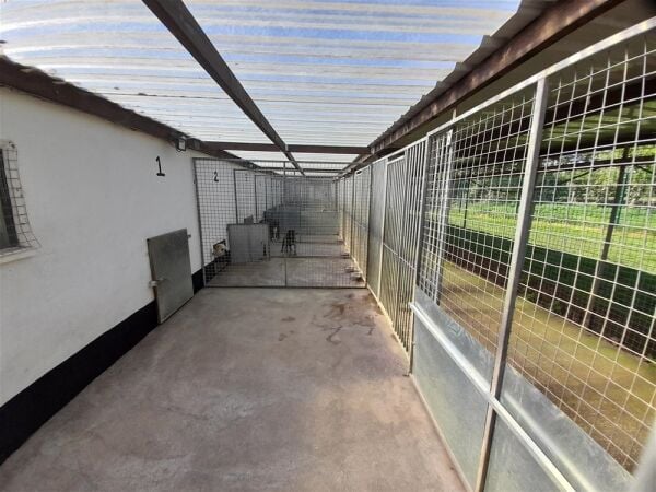 Kennels, Cattery & Equestrian businesses For Sale in Ferryhill Photo 9