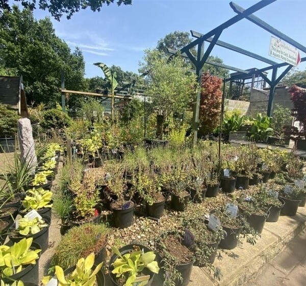 Garden Centre & Horticulture For Sale in Crewe Photo 9