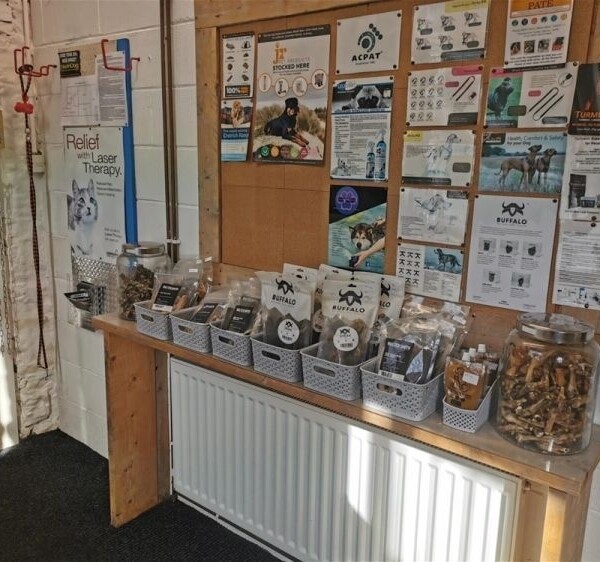 Leading Canine Hydrotherapy Centre based in Huddersfield Photo 9