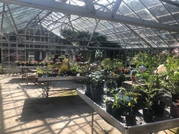 Leasehold Café/Restaurant & Garden Centre Located In St Tudy Photo 9