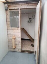 Cattery - Weston Super Mare Photo 9