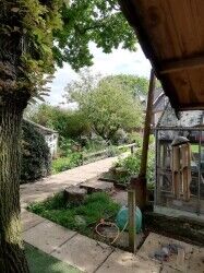 Delightful 5 Star Rated Licensed Boarding Kennels & Cattery - South Yorkshire Photo 9