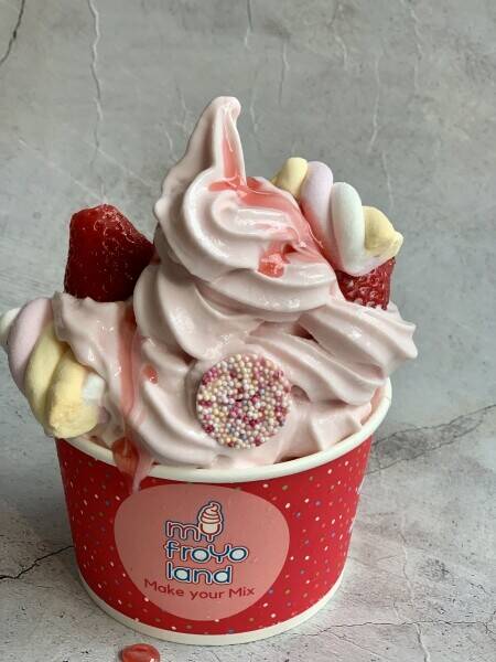 Famous Frozen Yogurt Parlour Photo 9