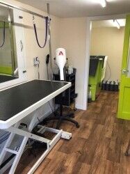 Under Offer: Kennels - Dumfries & Galloway Photo 9