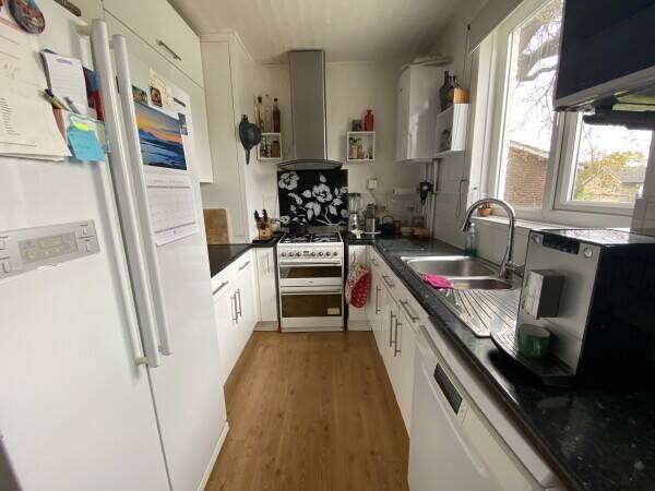 Long-Established & Thriving Cattery With Accommodation In Affluent Suburb of SW London Photo 9