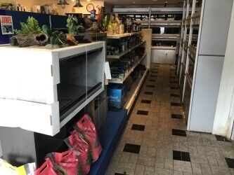 Well established aquatic pet shop for sale Photo 9