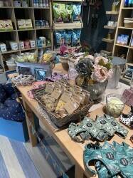 Beautiful pet store for sale Photo 5