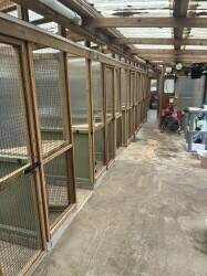 Very Well-known Family Run Cattery Business Photo 9