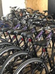 Bike Hire business in Southwold Photo 10