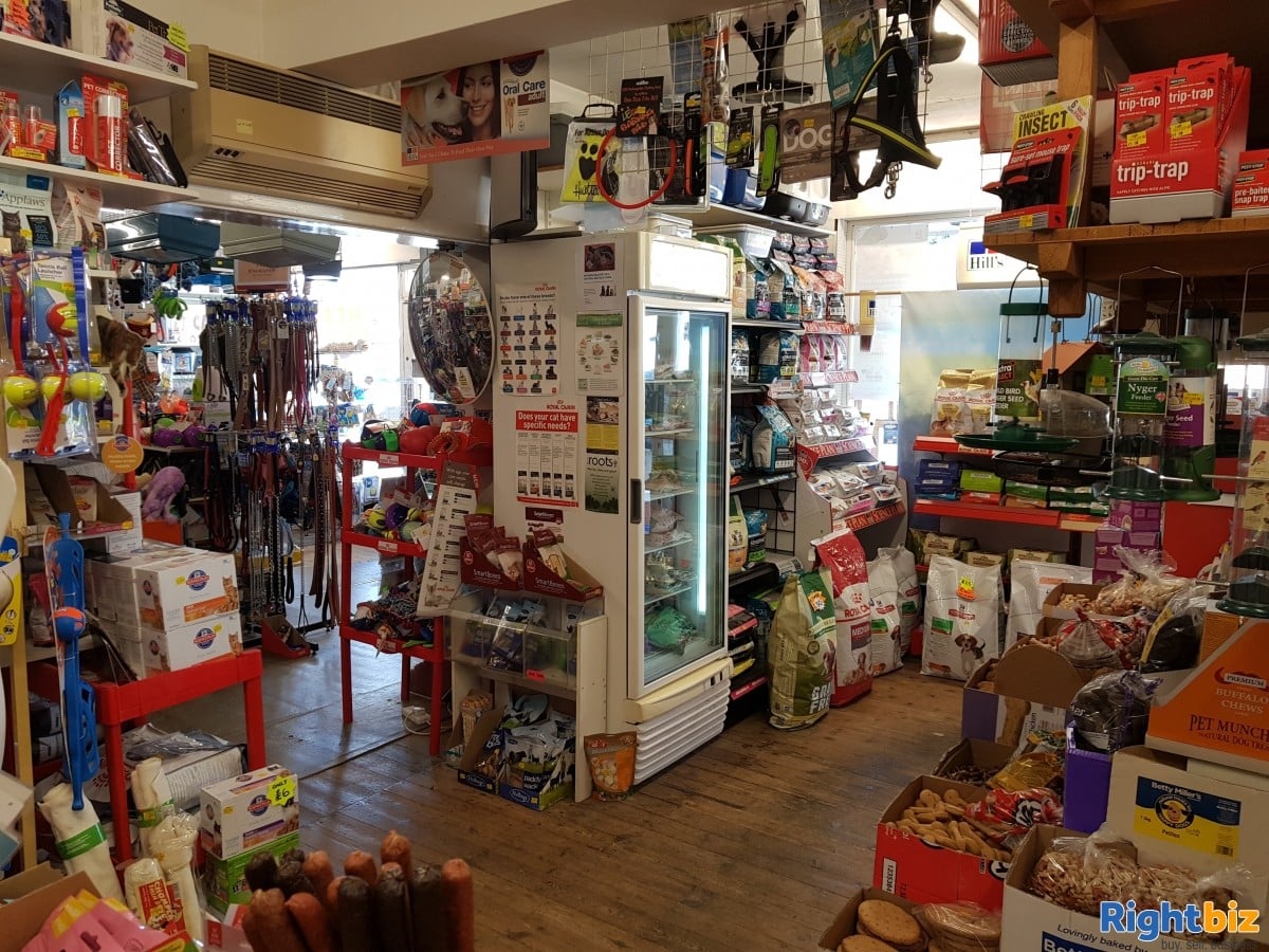 Pet Shop for Sale, Investment opportunity