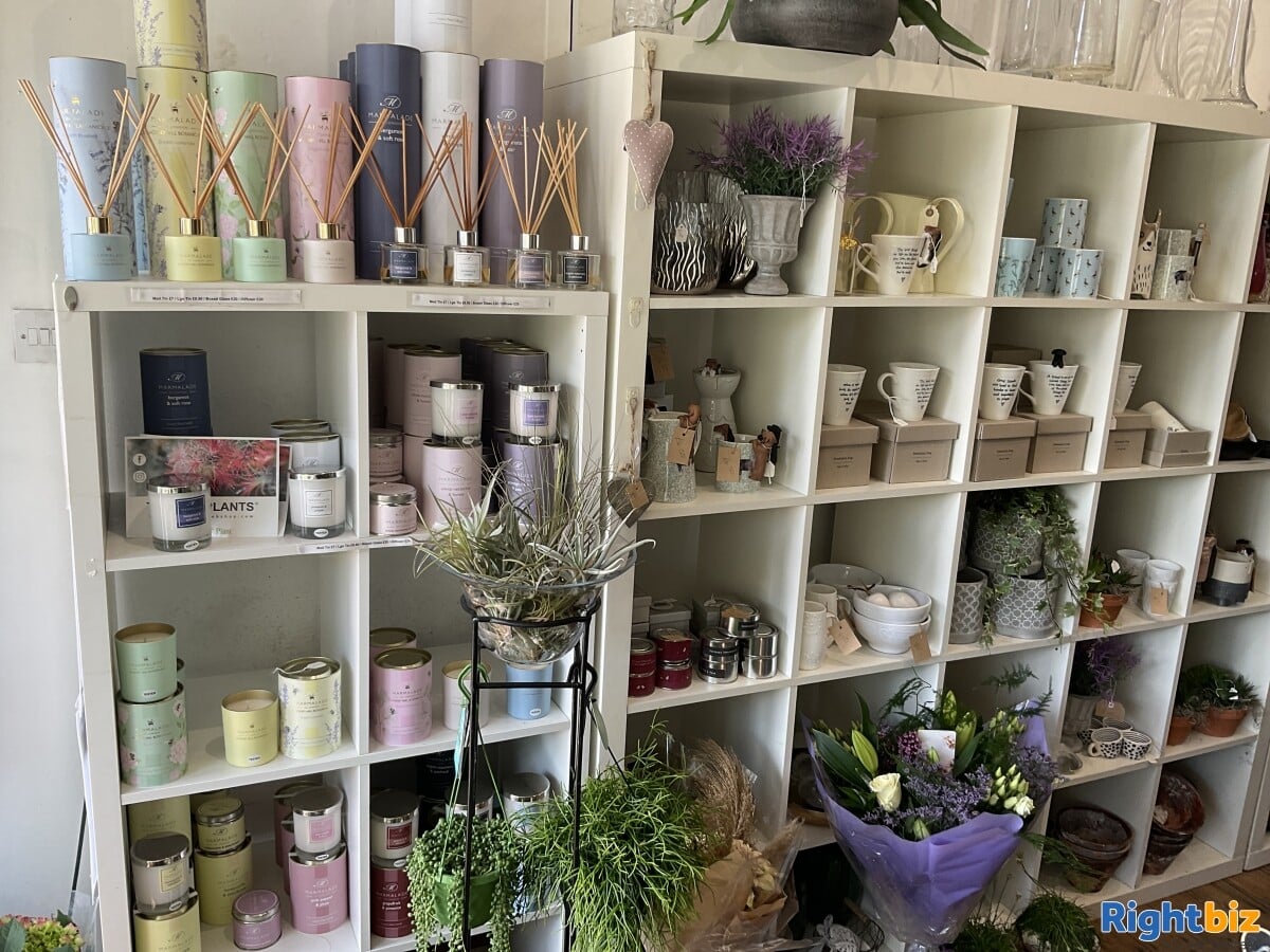 Well Established Florist / Giftware Shop