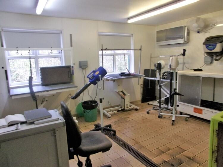 Kennels, Cattery & Equestrian businesses For Sale in Morpeth Photo 5